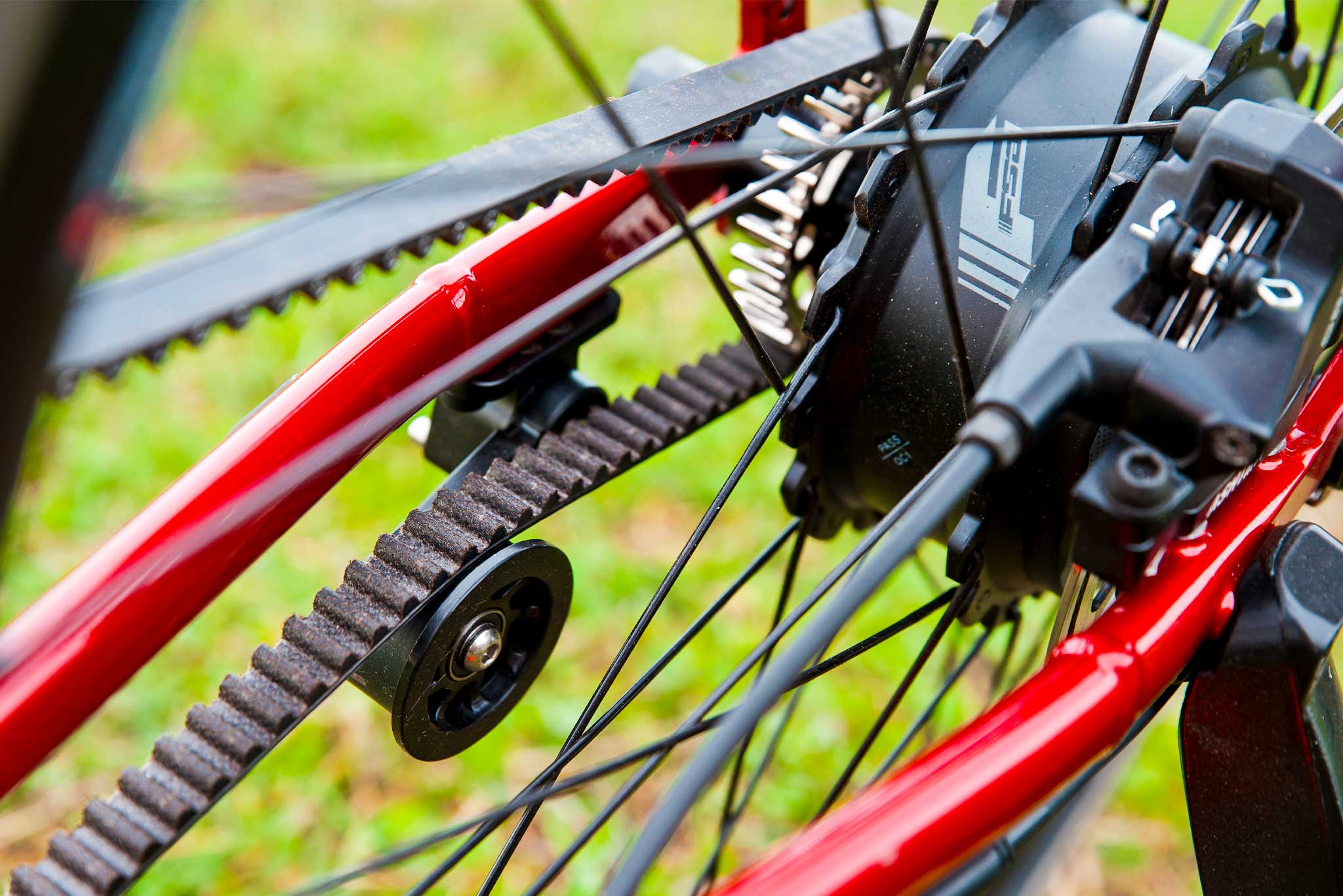 Immagine del Custom Field