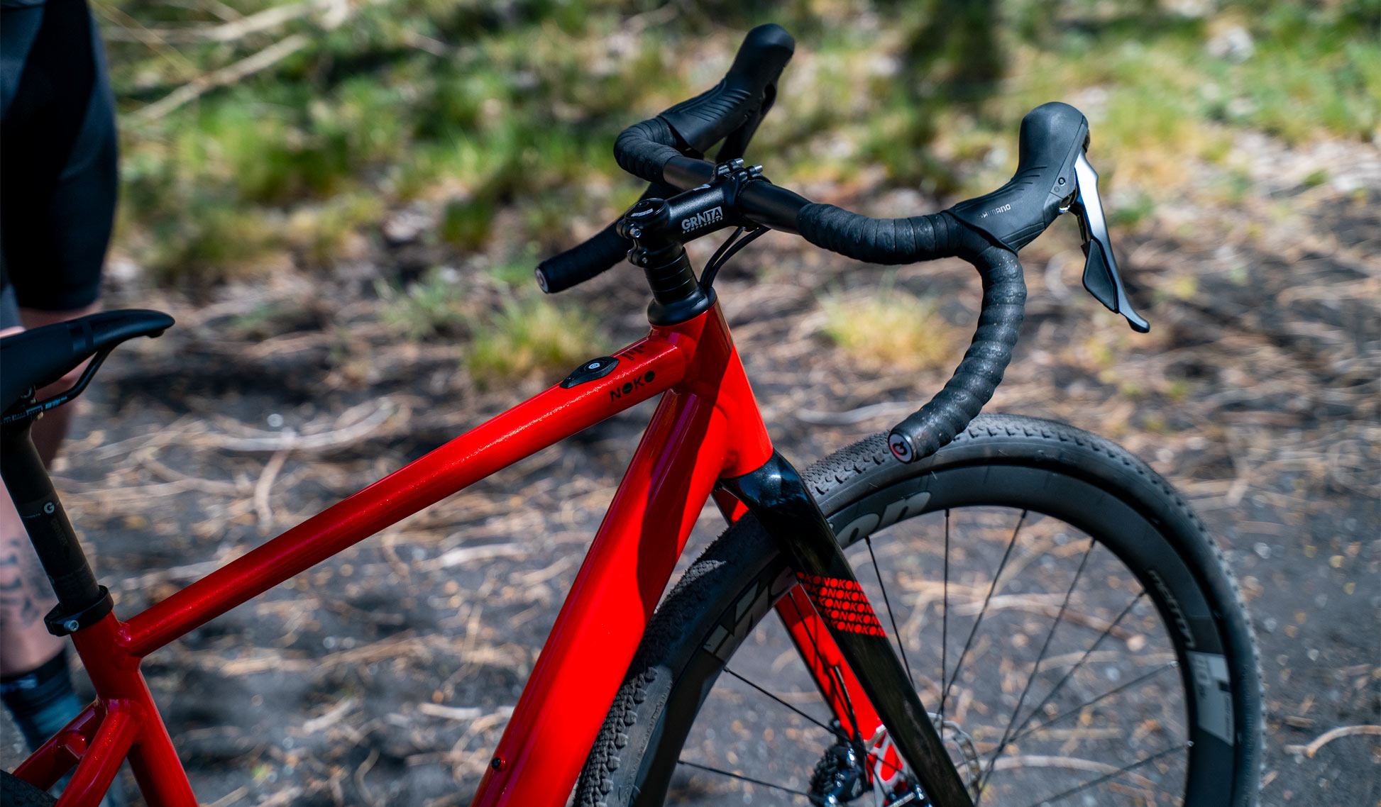 Immagine del Custom Field