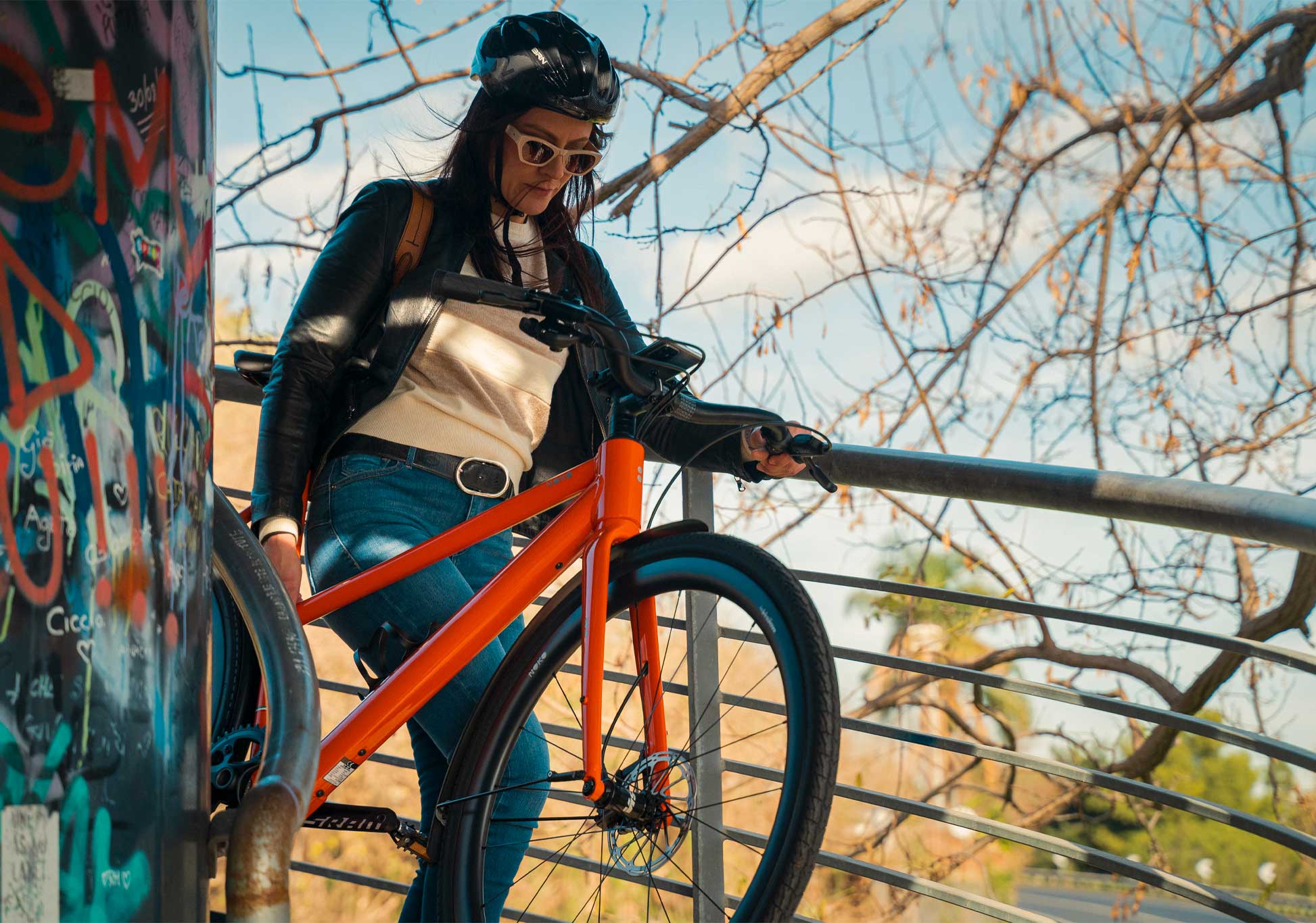 Immagine del Custom Field