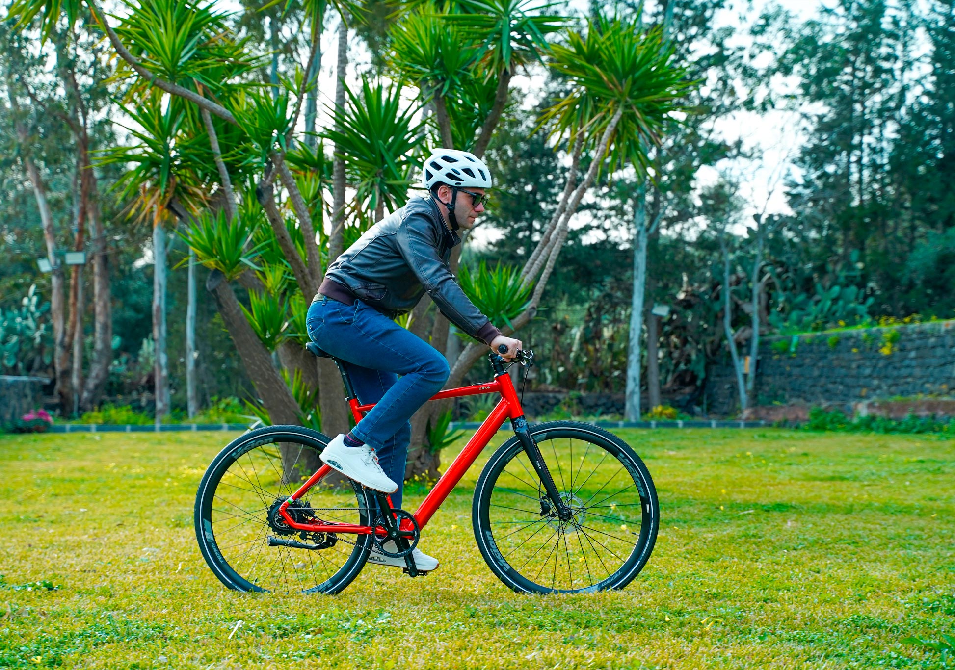 Immagine del Custom Field