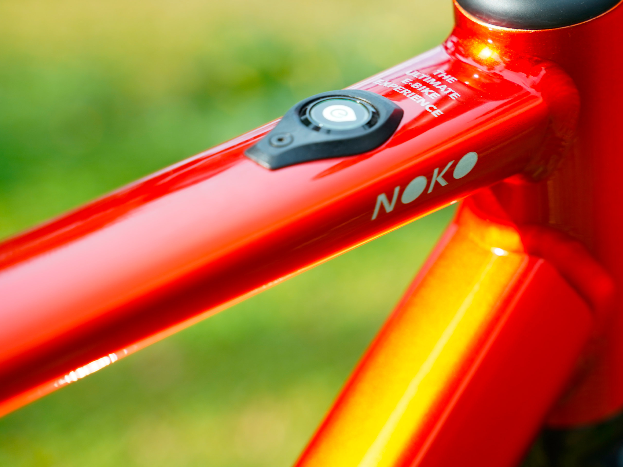 Immagine del Custom Field