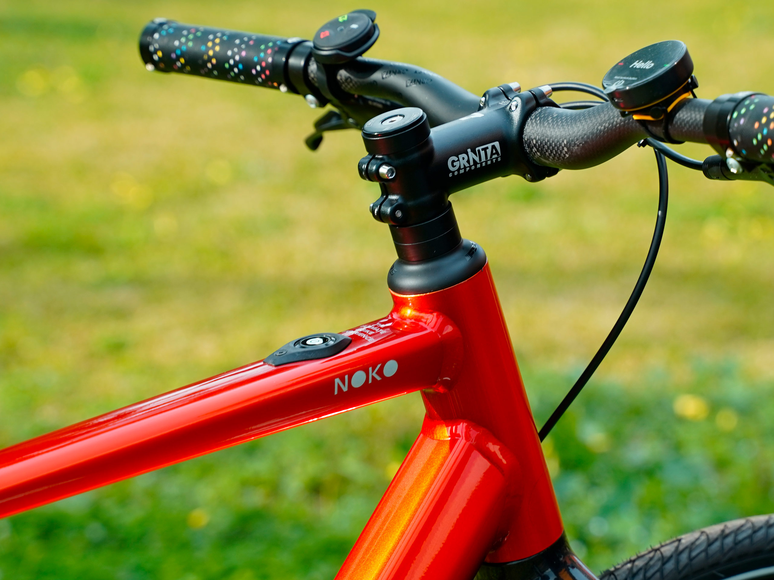 Immagine del Custom Field