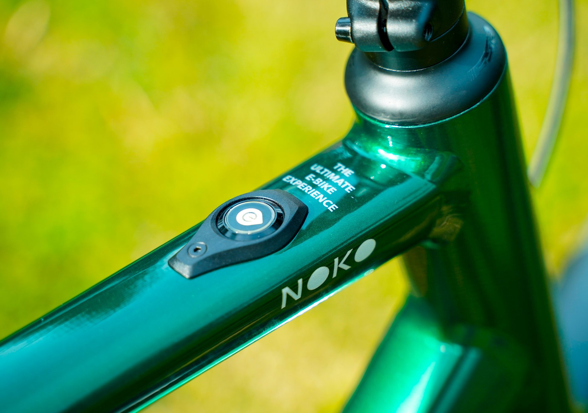 Immagine del Custom Field